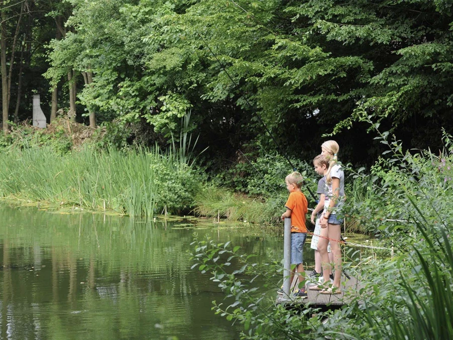 heerlijke natuur in hoge hexel en omgeving